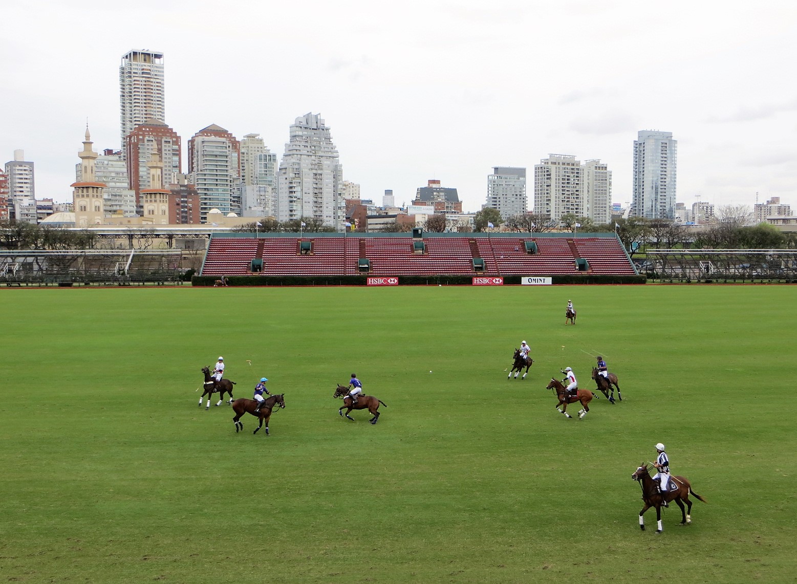 Vendredi de polo
