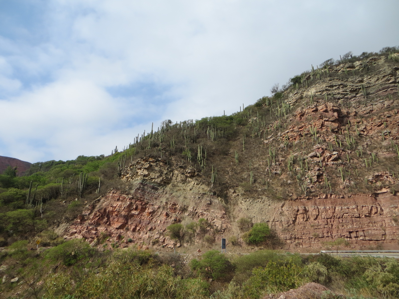 Quebrada de los Conchas